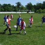 Interliga 2008