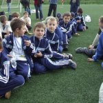 Kakaó Kupa 2008