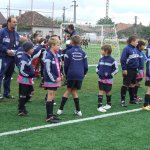 Interliga 2008