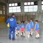 Ovis torna 2009
